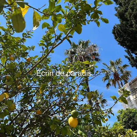 Apartment Casa Andrea Tout A Pied Avec Grand Jardin